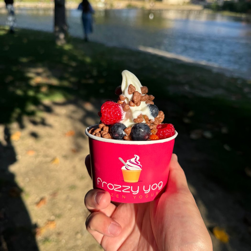 FROZZY YOG 1